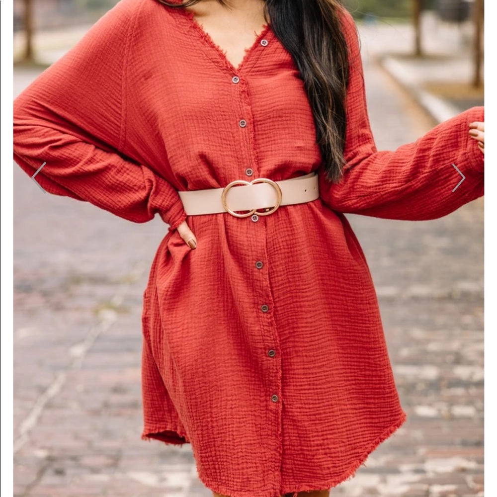 Shop the Mint - All Is Well - Rust Orange Button Down Dress